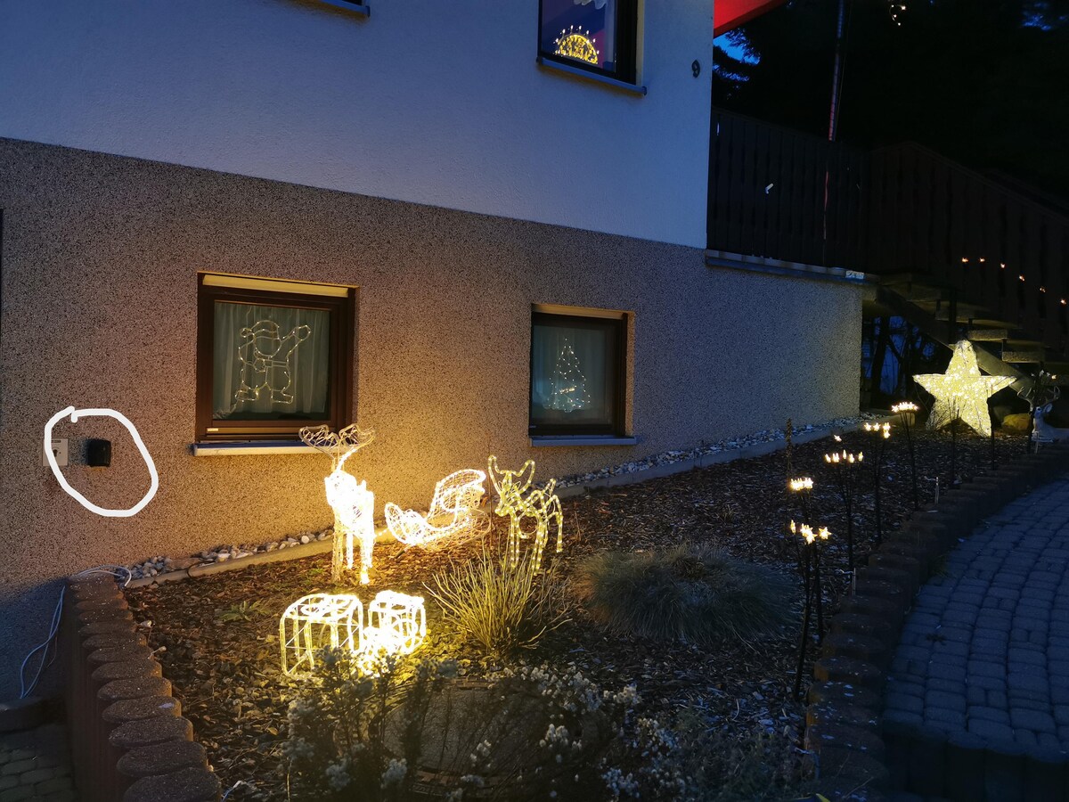 The exterior of the building is adorned with festive holiday decorations. Glowing figures of animals and stars illuminate the garden, highlighting the decorative landscape design. Window displays feature winter-themed images, providing a warm ambiance in the evening light.