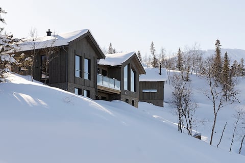 Grimsborken, large cabin with garage and sauna