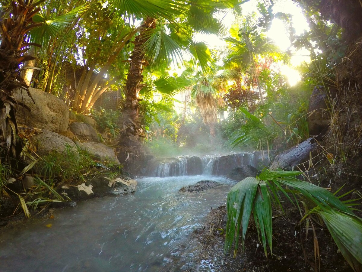 A serene water feature flows through a lush landscape, surrounded by various tropical plants. Gentle cascades create a calming atmosphere, with steam rising subtly above the water. Sunlight filters through the foliage, illuminating the scene with natural light.