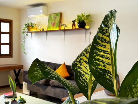 Top performing Airbnb: Providencia • Los Colomos • Andares in Guadalajara