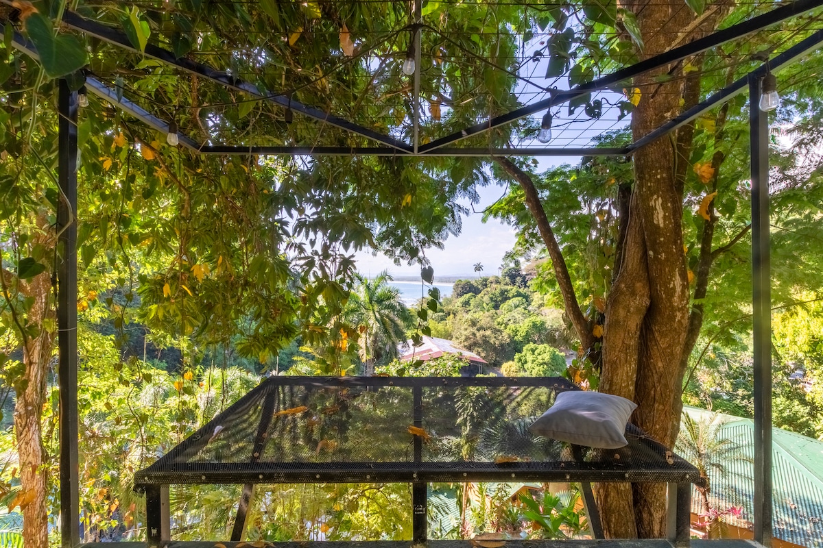 A shaded outdoor seating area, framed by lush green trees, provides a serene viewpoint overlooking a tropical landscape. The view includes distant palm trees and glimpses of ocean waters, creating a tranquil atmosphere in the heart of the jungle.