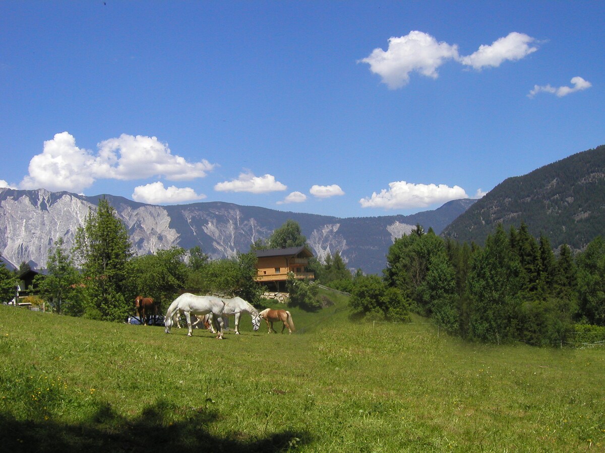 A scenic landscape features grazing horses in a lush green meadow. Rolling hills and towering mountains provide a backdrop under a bright blue sky dotted with fluffy white clouds. The welcoming chalet can be seen in the distance, surrounded by trees and open fields.