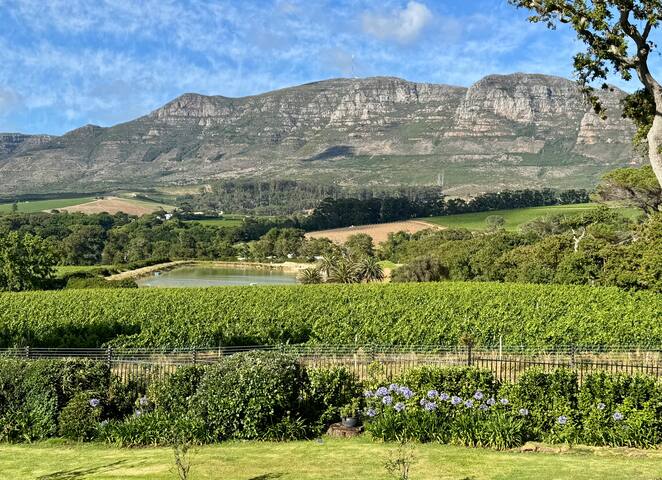 Stylish Cape Dutch vineyard cottage in Constantia gallery image 4