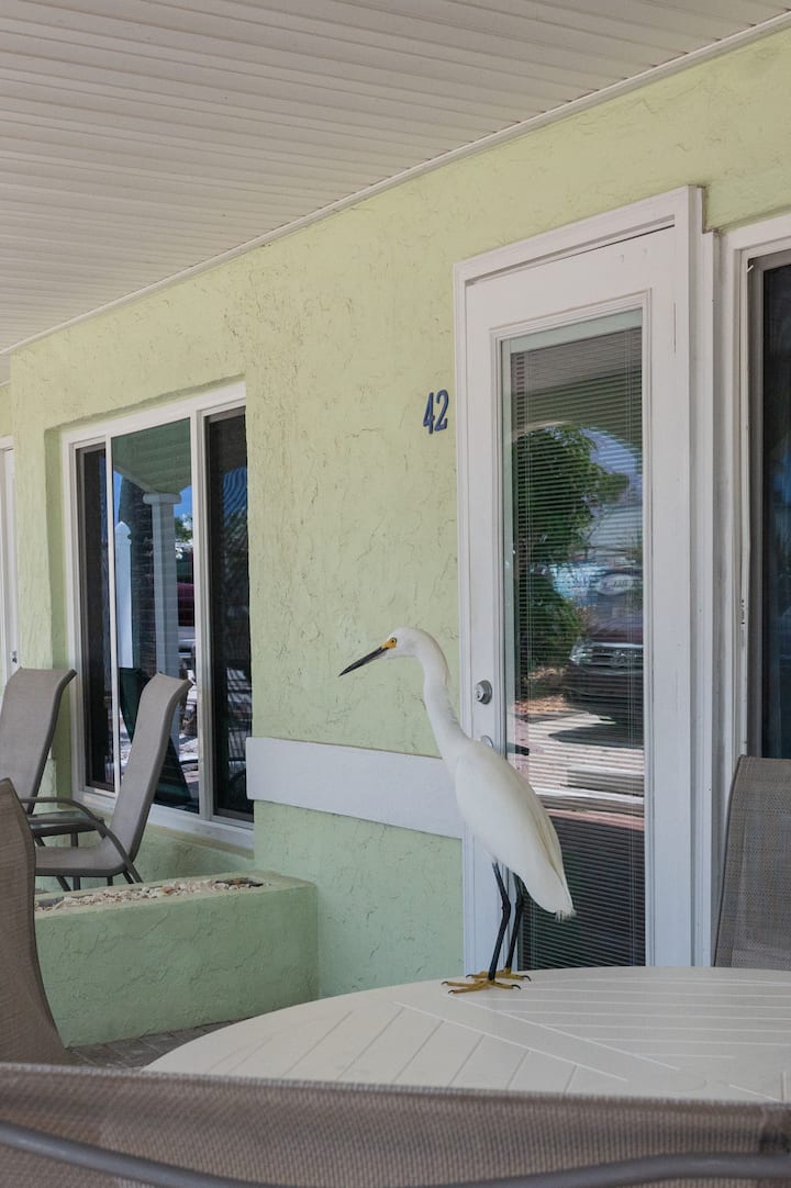 Bayside 2 Bedroom Suite - Casey Key, Florida