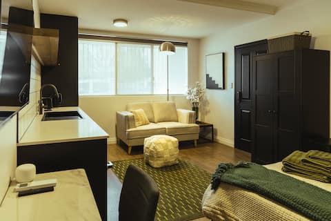 Successful Airbnb property: Gorgeous renovated Studio. Easy walk to CBD in Perth
