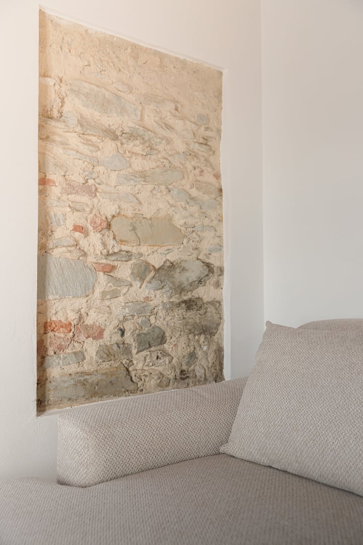 Il Mulino Di Nonna Sà (First Floor + Guesthouse) - Pietrasanta