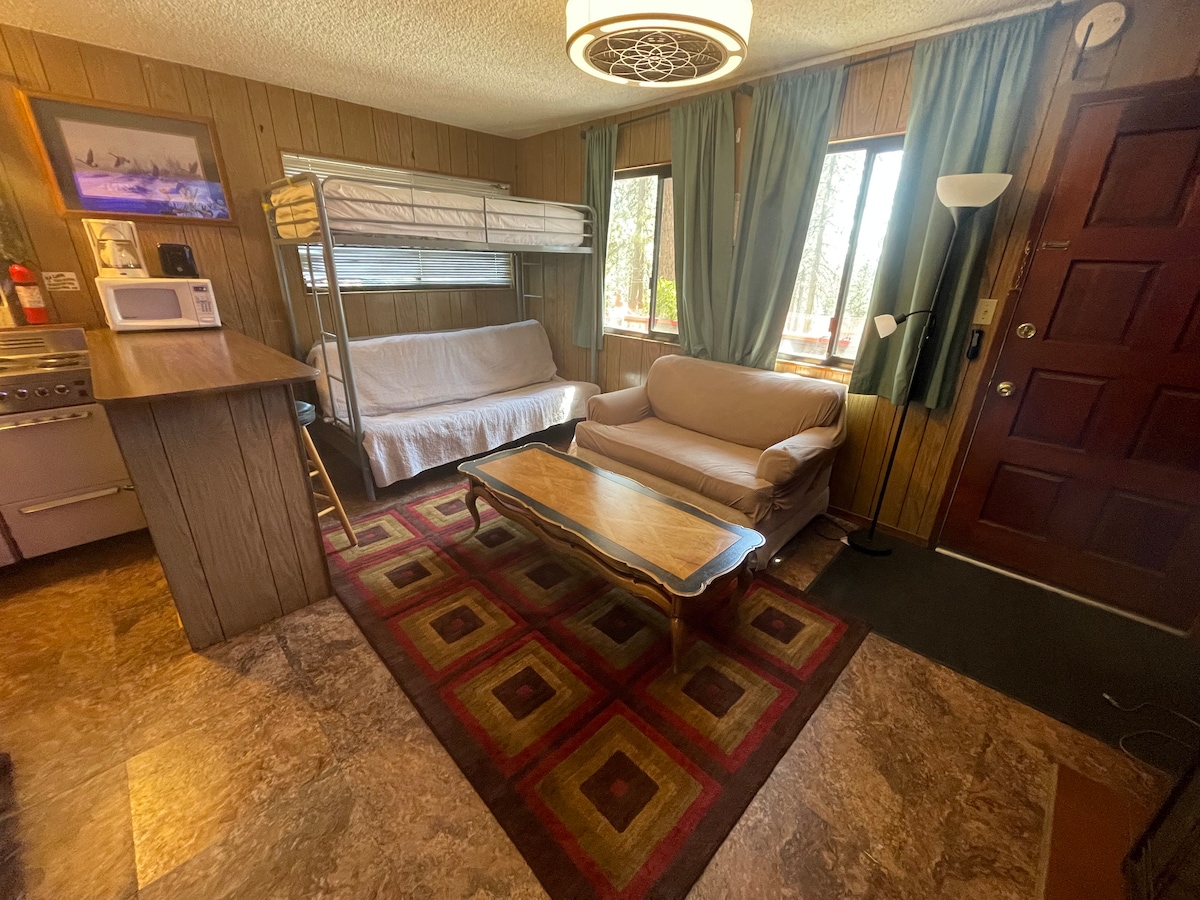 A cozy living area is visible, featuring a light-colored sofa and a convertible bunk bed. Natural light enters through two windows adorned with light blue curtains. A wooden coffee table sits in the center, complemented by a patterned area rug and a cozy lamp.