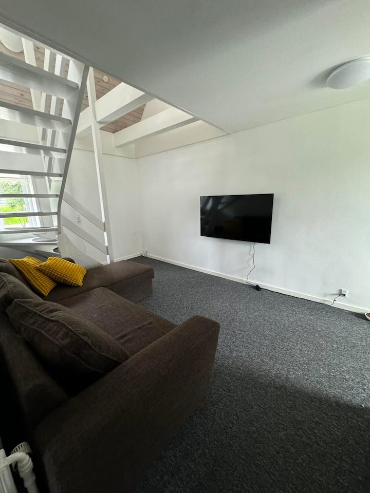 HDTV 55 ''
Sovesofa