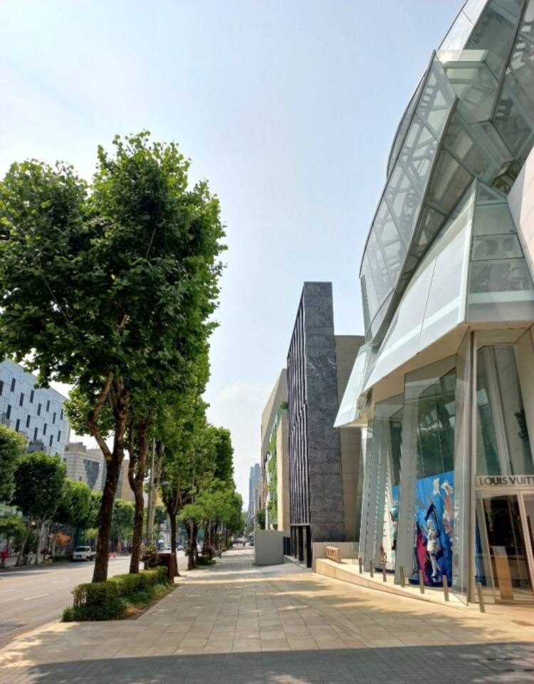 Cheongdam-dong is the richest place in Seoul.
It is lined with world-famous luxury stores.