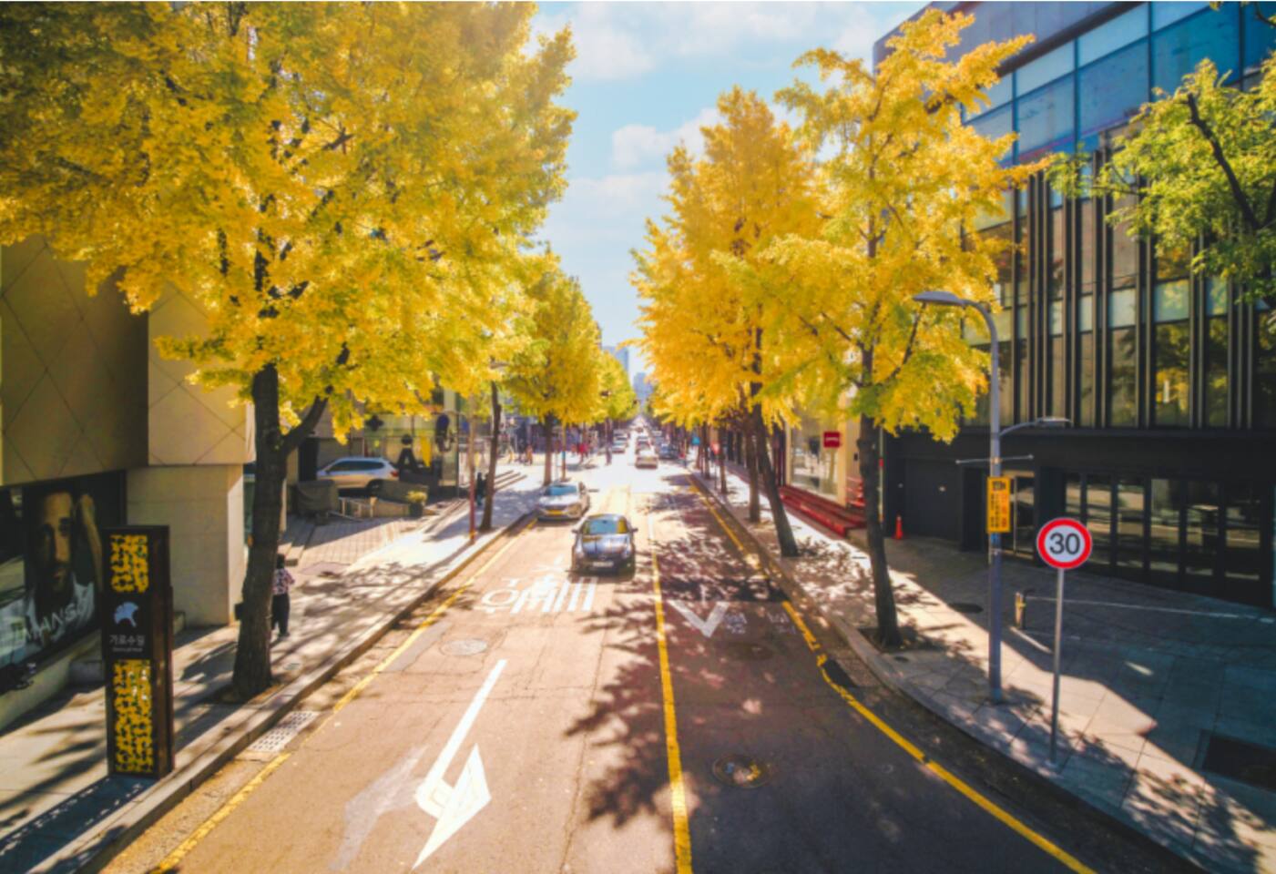 It is Garosu-gil in Sinsa-dong. It is a place where you can enjoy shopping and parties.