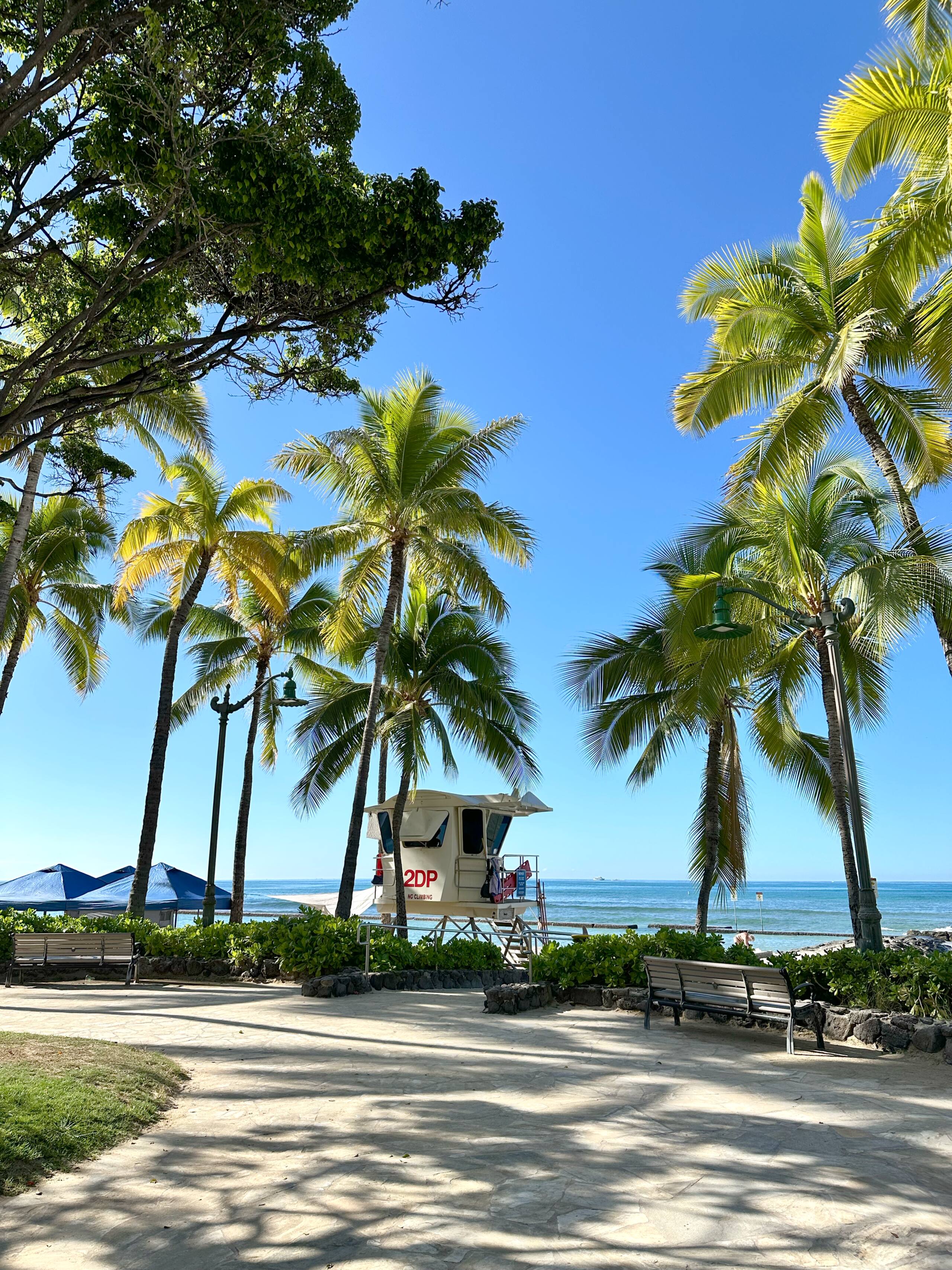Condo in Honolulu · ★4.93 · 1 bedroom · 2 beds · 1 private bath - Image 24