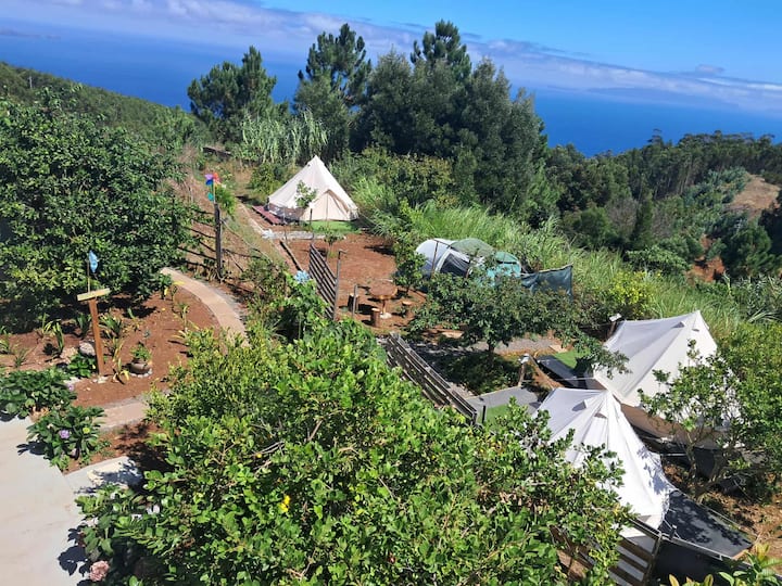 Green Island Camping Tenda Limo - Tents for Rent in Gaula, Madeira,  Portugal - Airbnb