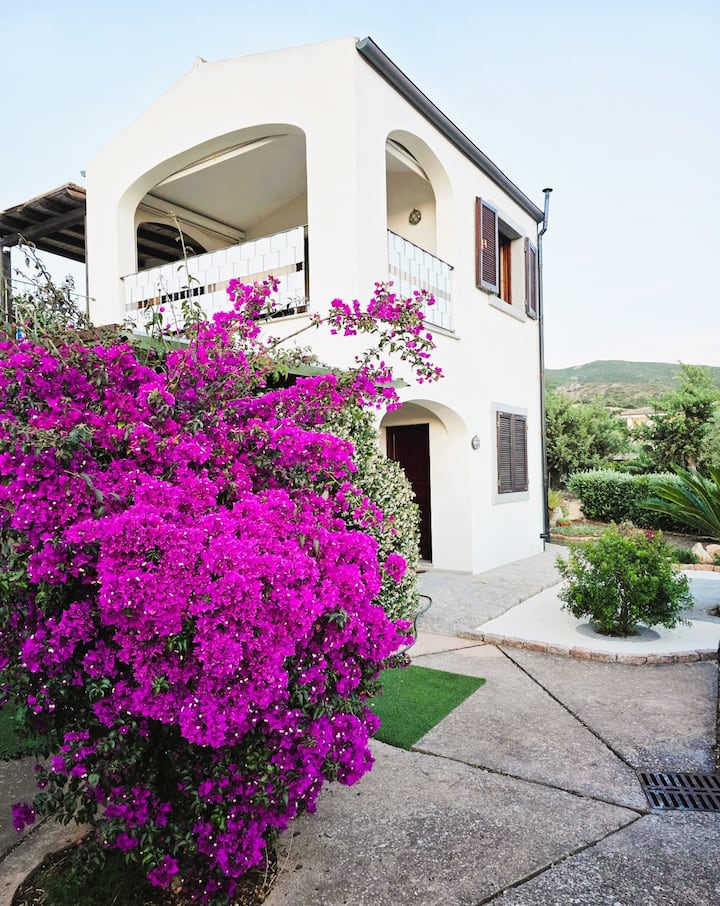 Sea View Villa With Panoramic Terrace And Pool - Sardinia Island