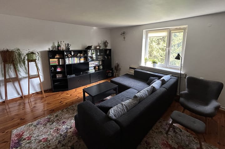 მისაღები ოთახი კუთხის დივნით, რომელიც იკეცება ორი ადამიანისთვის საძილე სივრცის შესაქმნელად