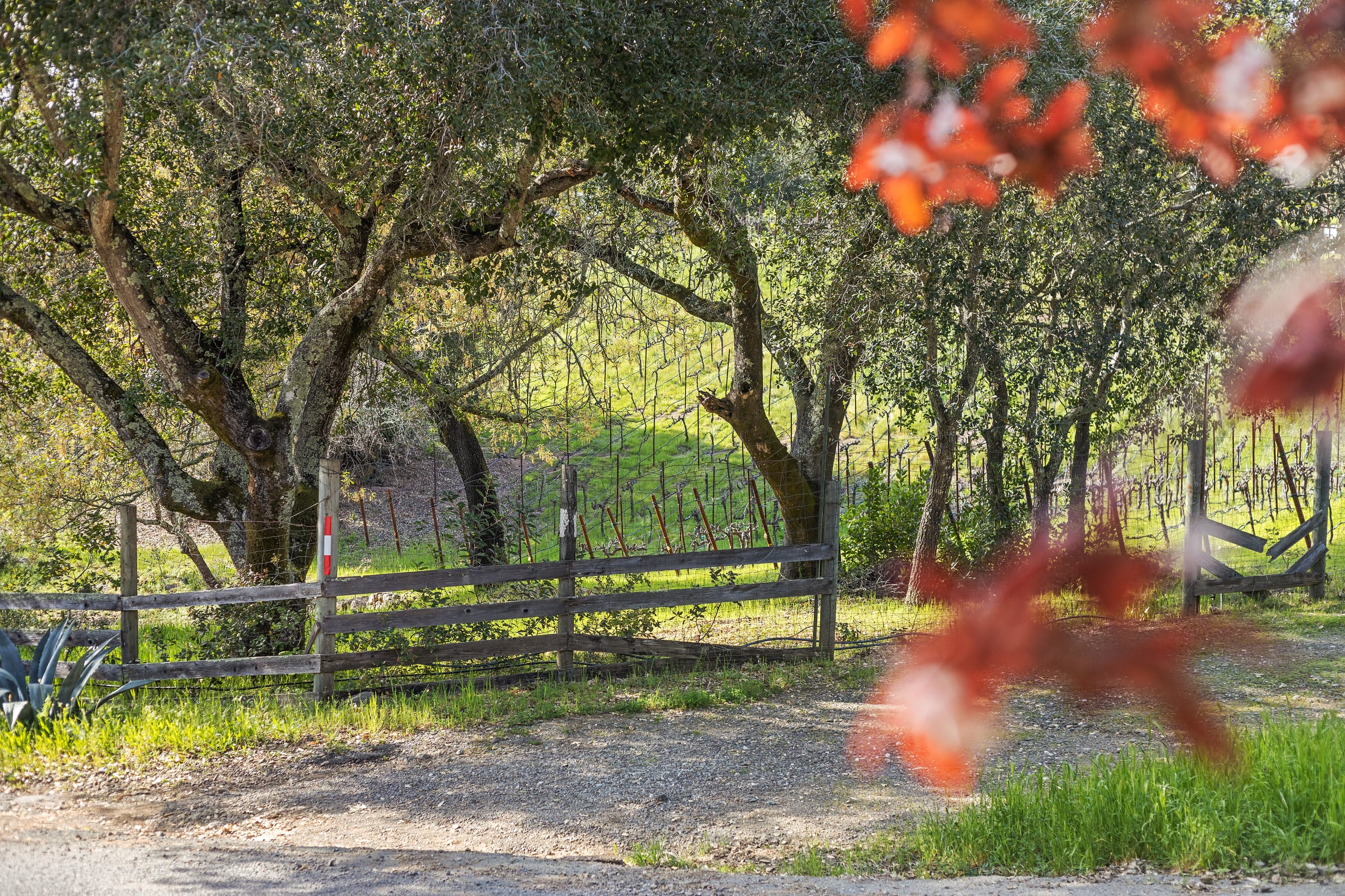 Hilltop Wine Country Retreat with Mountain Views - Photo 69