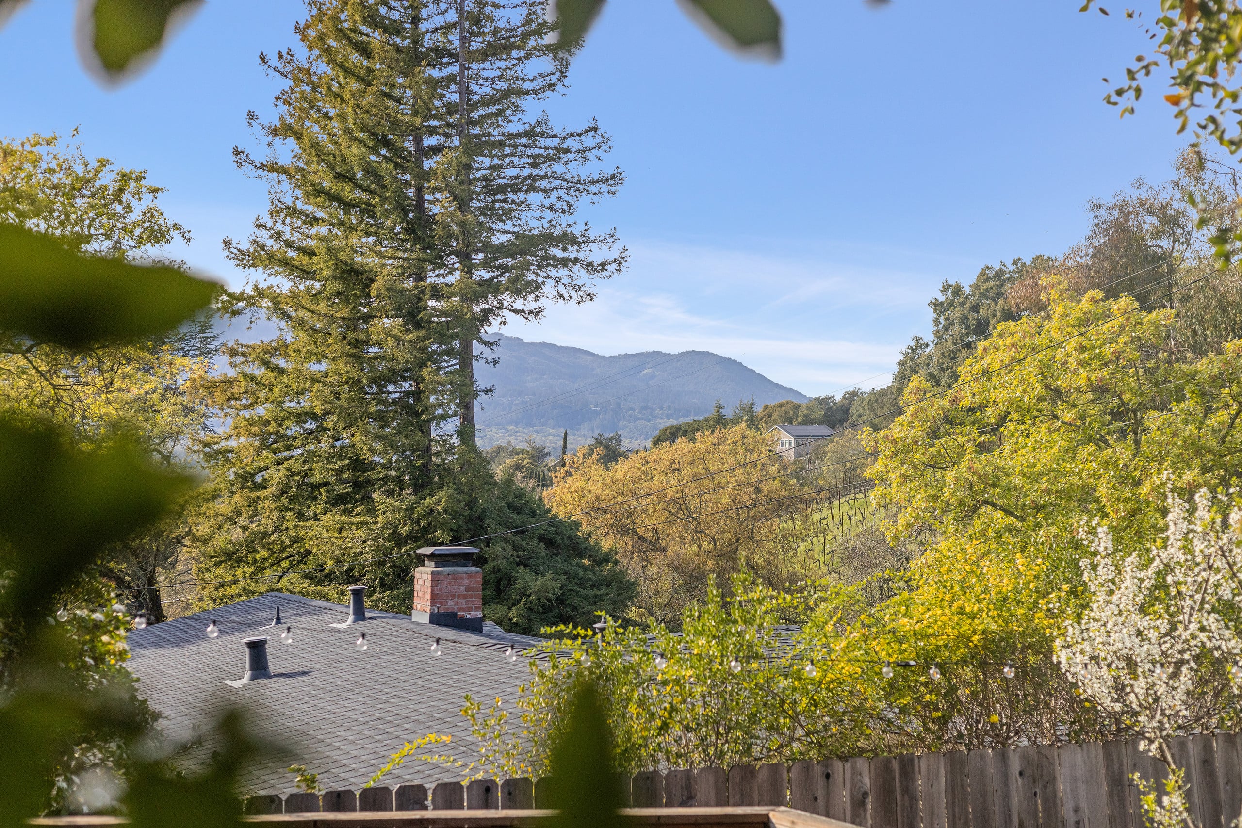 Hilltop Wine Country Retreat with Mountain Views - Photo 49