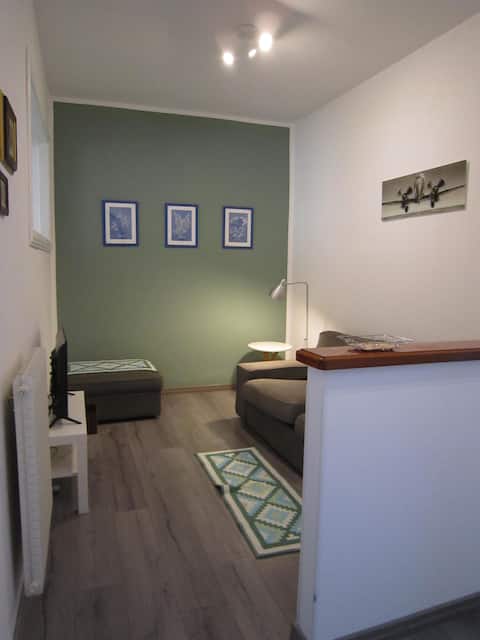 Annuncio Airbnb popolare: Borgo Carinthia a Gorizia