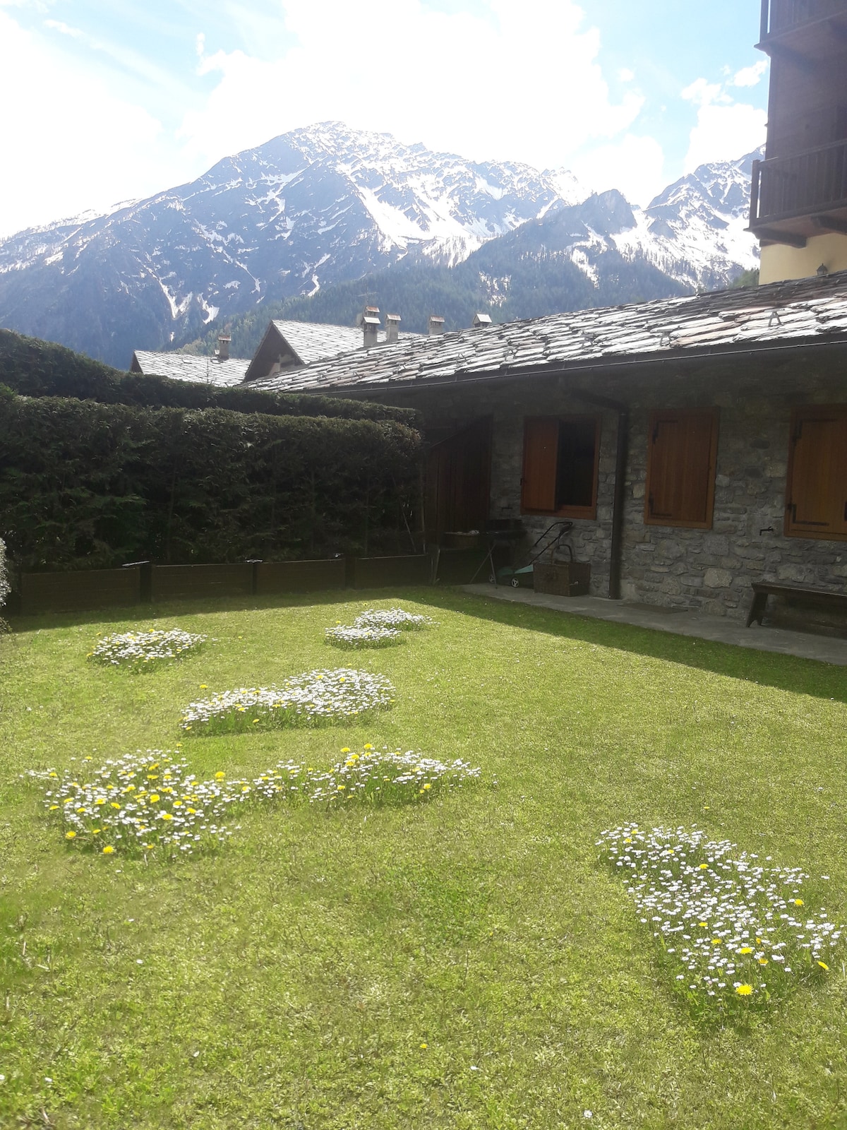 A sunny garden area features a well-kept lawn adorned with clusters of white and yellow flowers. Surrounding greenery and stone walls provide a natural backdrop, while the majestic snow-capped mountains rise in the distance, enhancing the serene outdoor space.