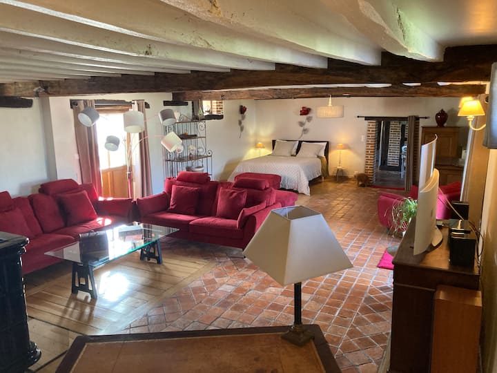 Vista general de la habitación 