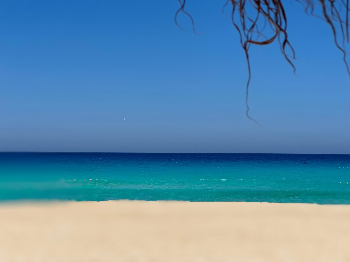 A serene beach scene is presented, featuring clear blue waters meeting a sandy shore. A gradient of colors is visible in the water, from deep blue to turquoise. The sky is clear, with a hint of horizon visible in the distance.