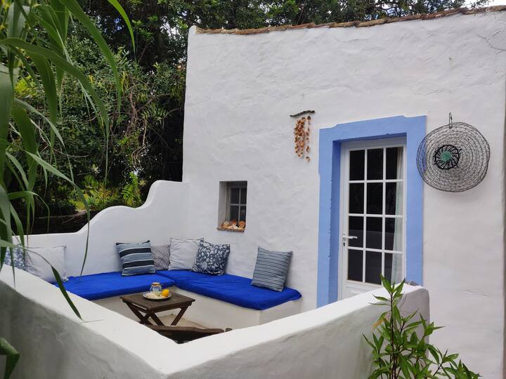 Casa Sol Montegião - & Tropical Garden And Pool - Olhão