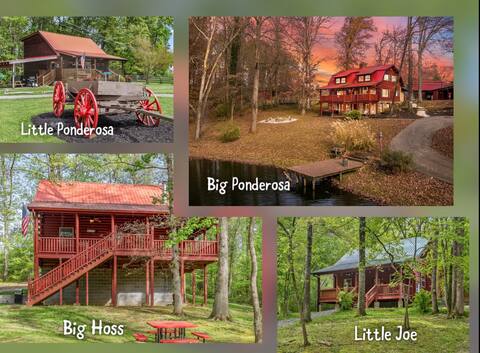 4 Log Cabins, 16acres near UTK, sleeps 31, fishing