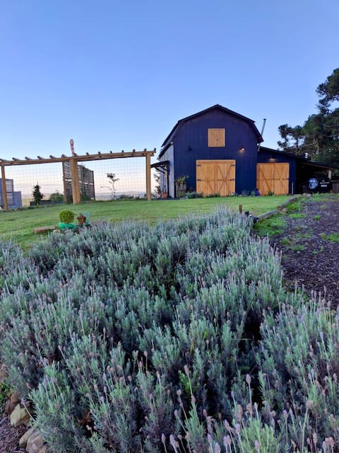 Successful Airbnb property: Casa Celeiro Flores in the Pampas (with breakfast) in Cambará Do Sul