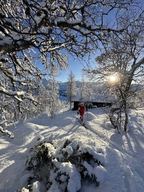 Mountain cabin in lovely hiking terrain
1 km from road