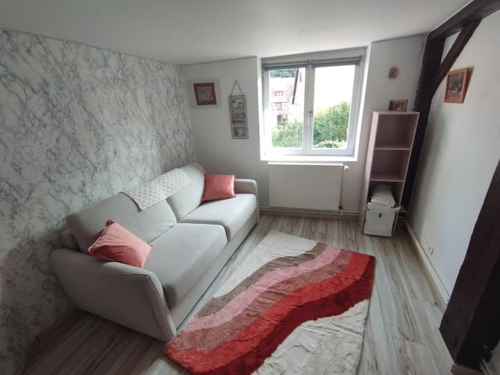 Sofá cama convertible con colchón 140 x 180
Edredón, funda nórdica y sábanas incluidas
Estantería para poner tus cosas
Escritorio y silla para trabajar
