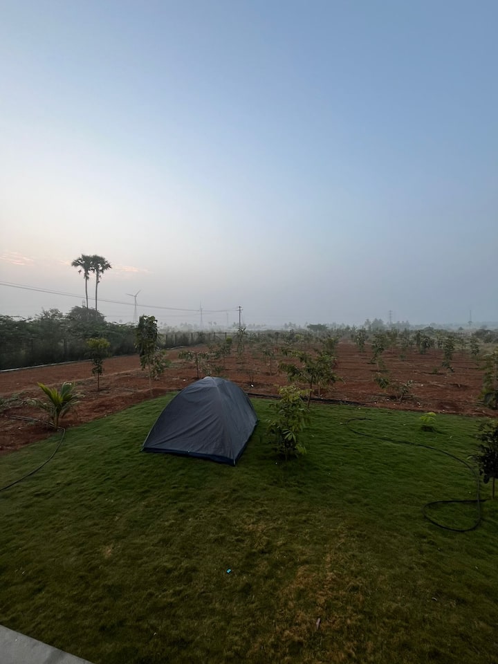 საძინებელი 2