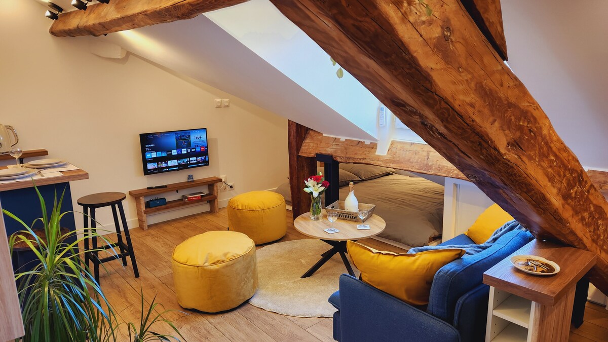 Successful Airbnb property: Under the Roofs of Nice in Nice