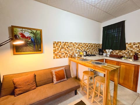 El Cabrero Apt: AC + WiFi + Kitchen + Terrace @David