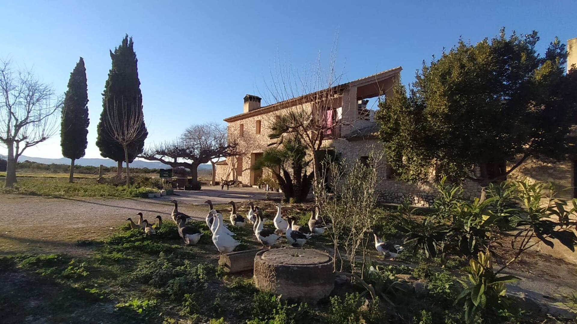 Country house + 16 people Heretat de Pere