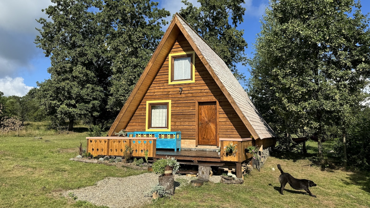 A charming A-frame cabin is situated amidst lush greenery, featuring a wooden facade and a small porch with bright blue accents. A well-tended garden surrounds the cabin, with a gravel path leading to the entrance. A friendly dog is seen in the foreground.