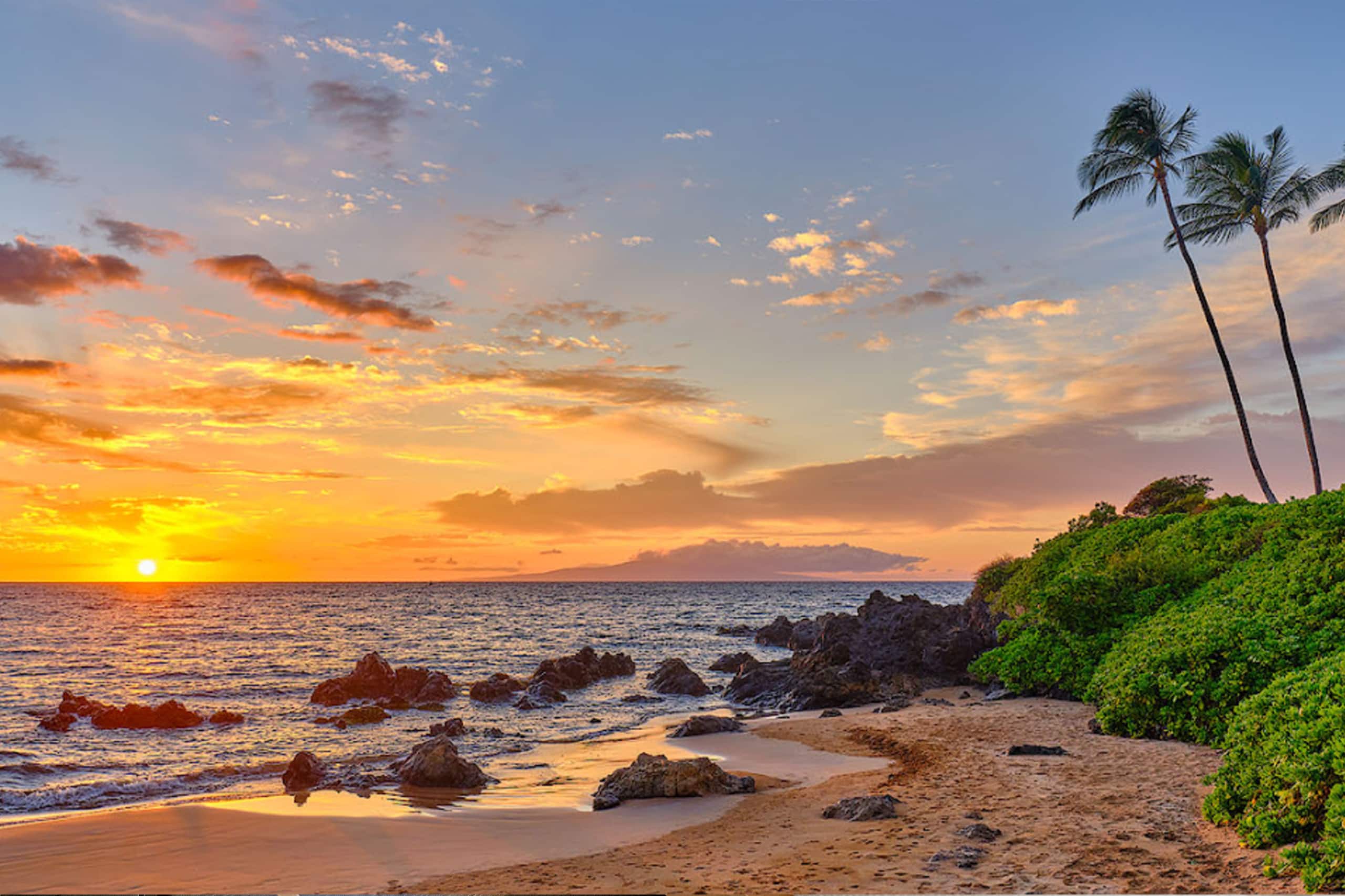 Condo in Kihei · ★4.92 · Studio · 1 bed · 1 private bath - Image 20