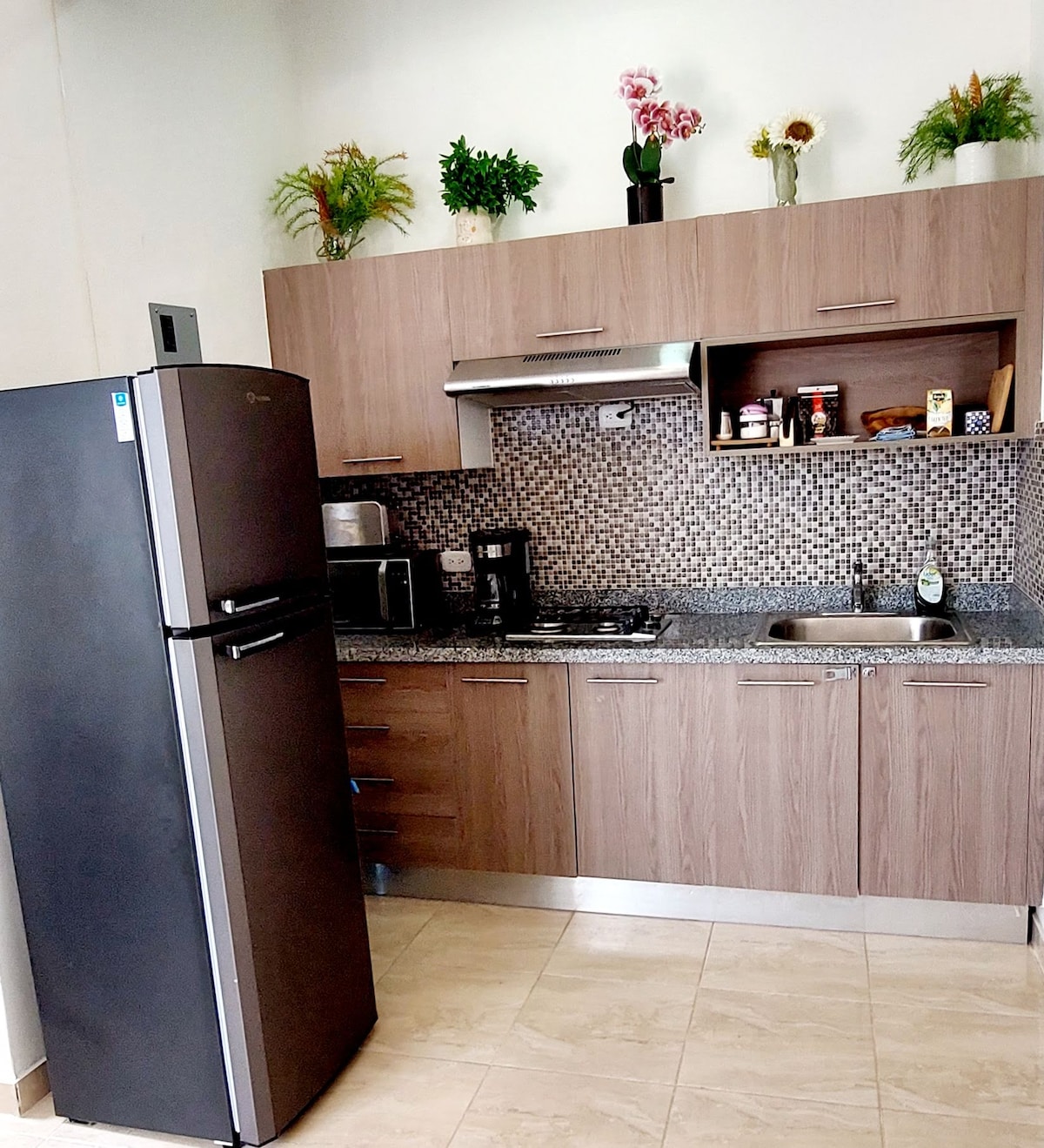 The kitchen area features modern cabinetry in a warm wood tone, complemented by a smooth granite countertop. Stainless steel appliances, including a refrigerator and a gas stove, are arranged for convenience. Decorative plants add a touch of vibrancy to the space.