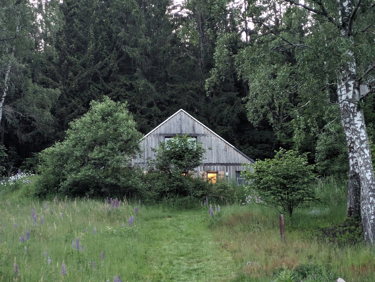 A wooden house, embraced by greenery, is partially obscured by trees and overgrown shrubs. The roofline is peaked, and warm light emanates from the windows, hinting at a cozy interior. Wildflowers and tall grasses surround the pathway leading to the entrance.