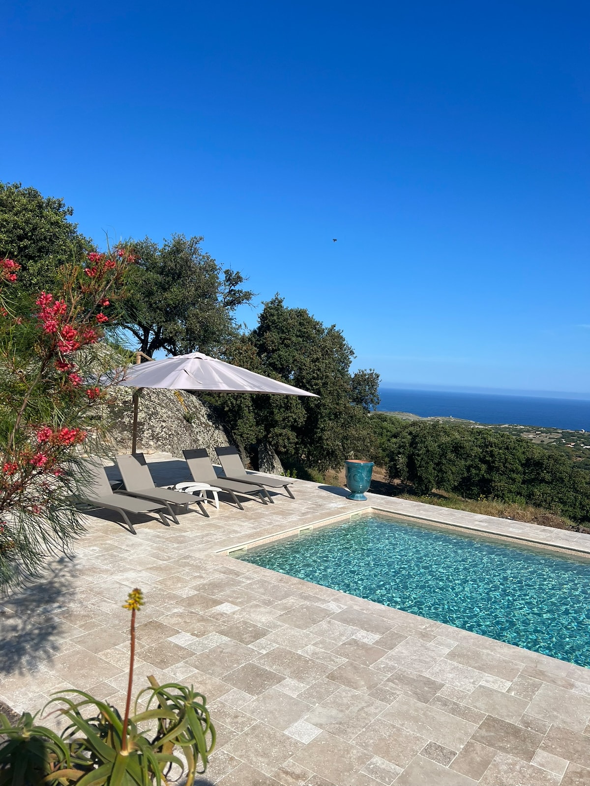 A clear blue sky is visible above a tranquil swimming pool, surrounded by lush greenery. Two lounge chairs, positioned beside the pool, are shaded by a large umbrella. The area is enhanced by stone pavers and offers views of the distant sea.