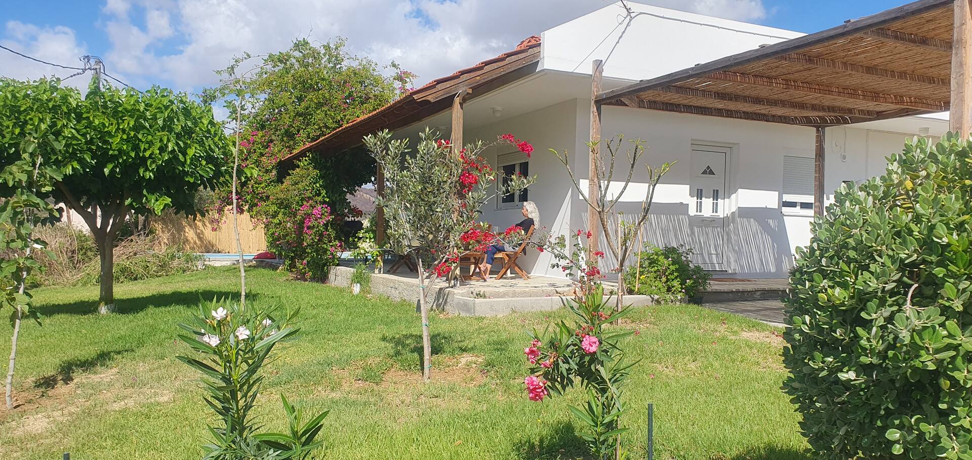 Villa Frangipani with large private pool, Rhodes — photo 3