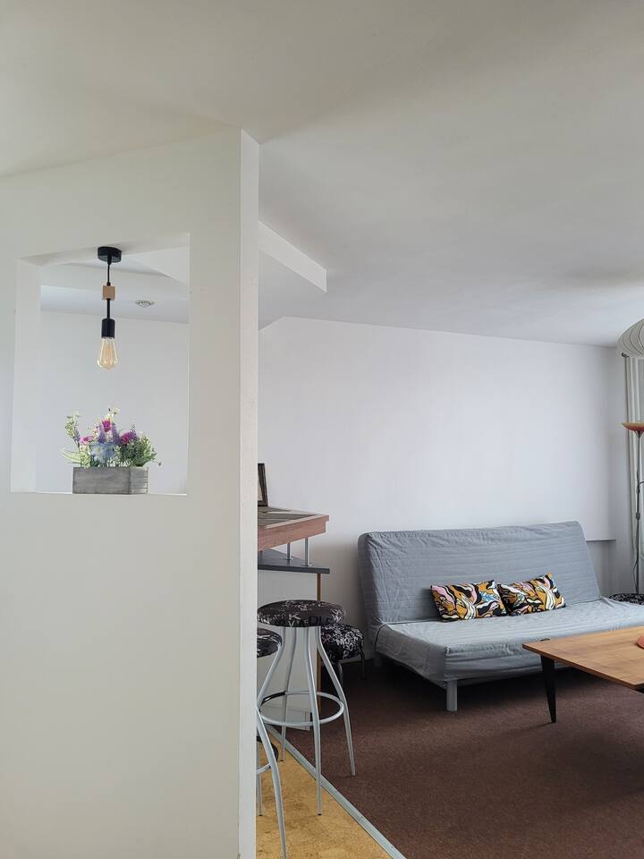 Giedre Apartments Taikos