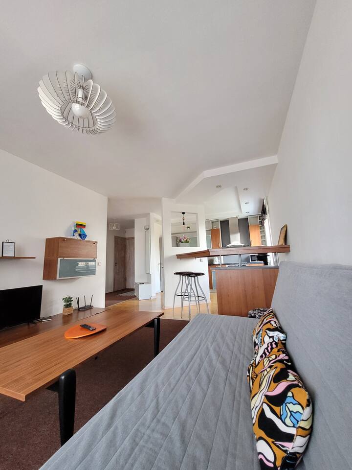 Giedre Apartments Taikos