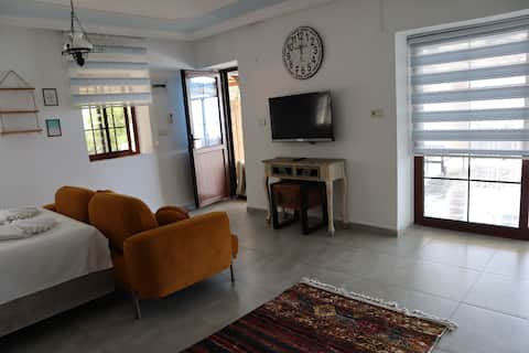 Beachfront Stone VILLA