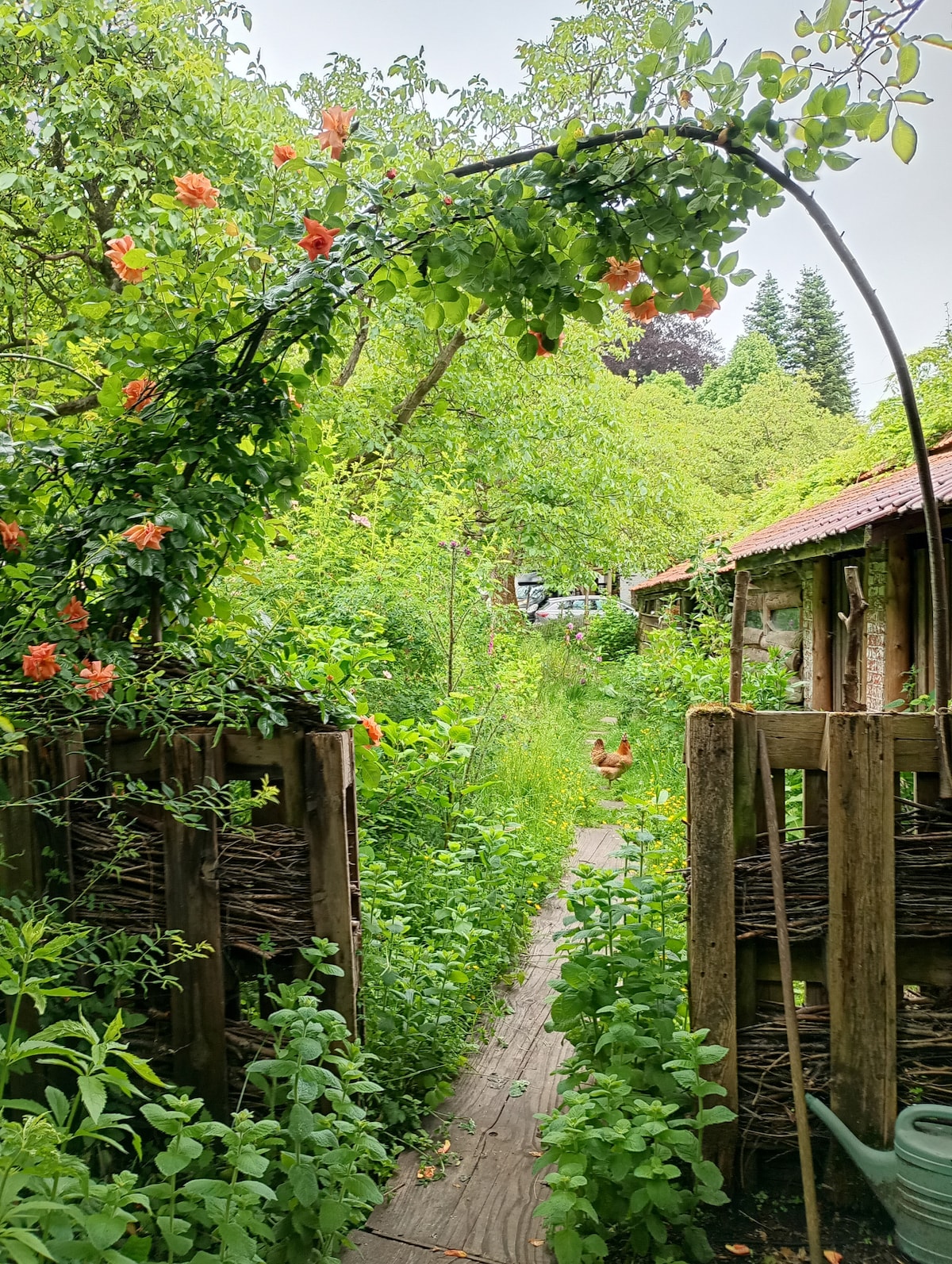 A narrow pathway meanders through lush greenery, bordered by vibrant orange flowers and foliage. Chickens can be seen roaming in the background, while a rustic building is partially visible ahead, enhancing the natural beauty of the private estate.