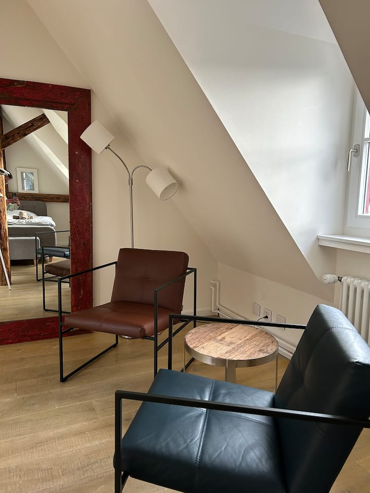 Charming Attic Room In Historic House By The River - Bâle