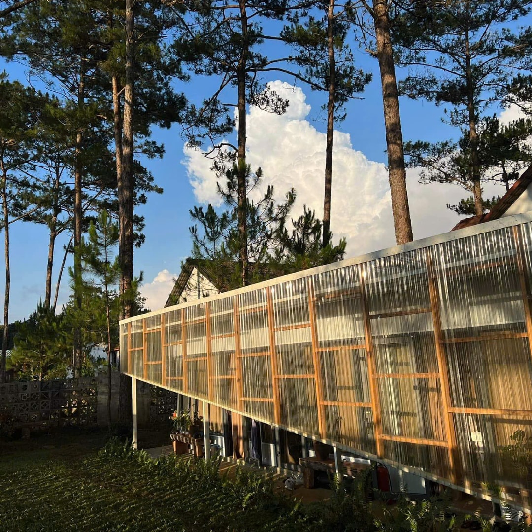 A modern structure is positioned among towering pine trees, featuring large windows that reflect the natural surroundings. The exterior is complemented by a wooden framework, creating a sense of openness. The backdrop displays a clear blue sky, with clouds gently drifting above.