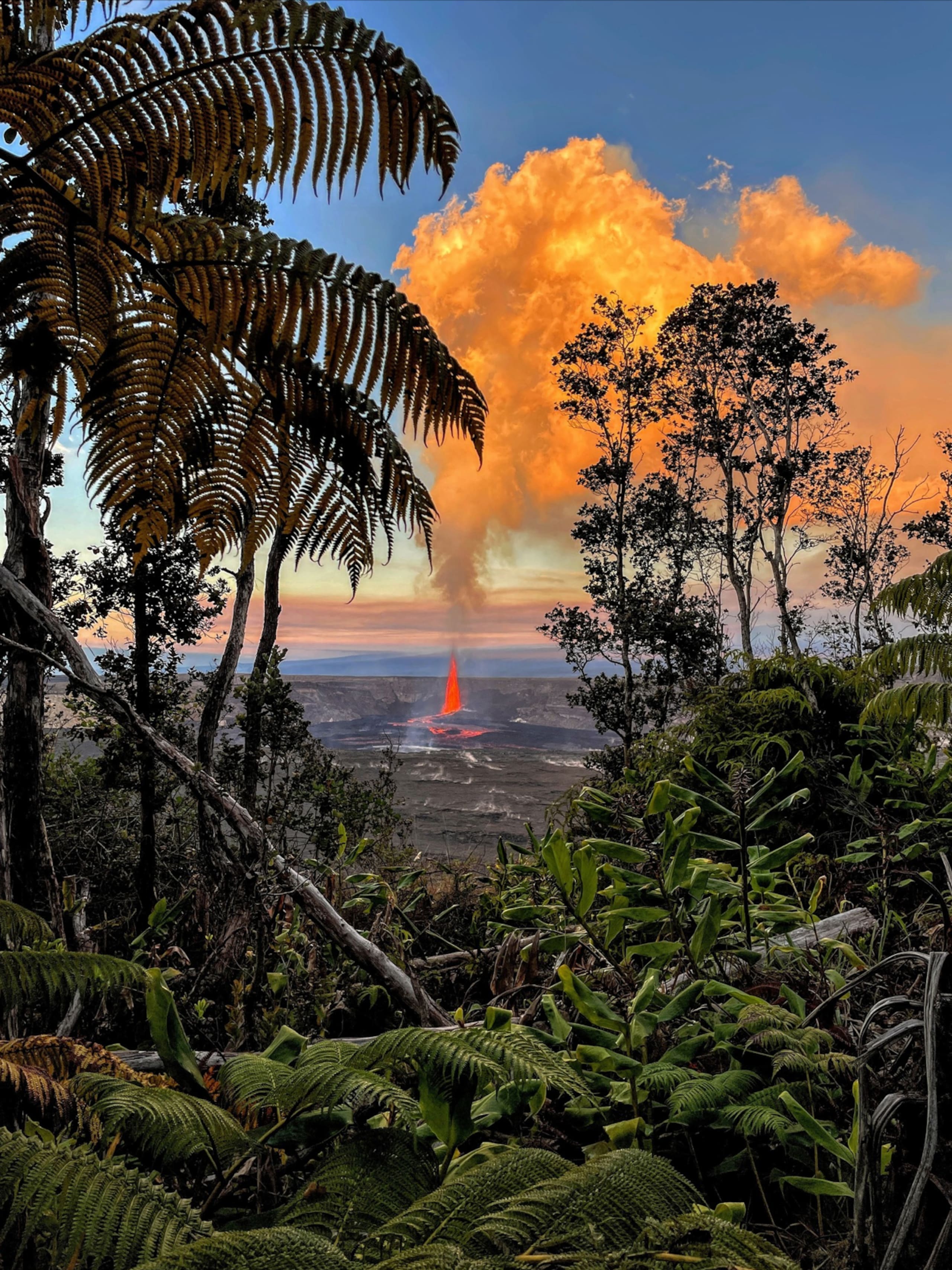 Island paradise retreat - Photo 27