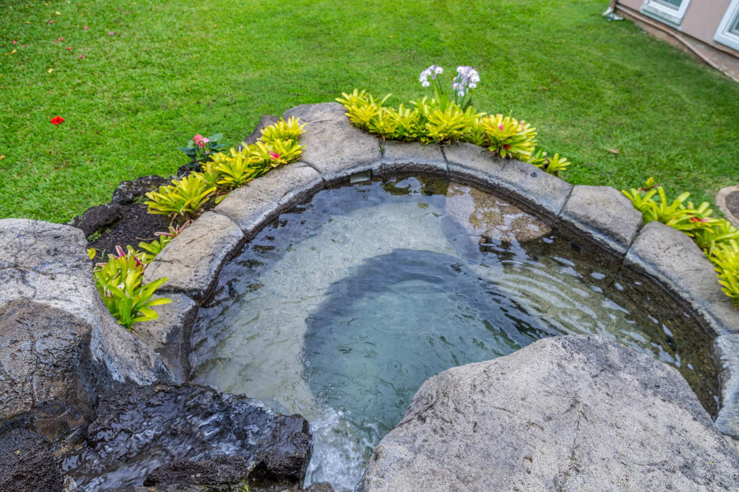Home in Princeville · ★4.67 · 4 bedrooms · 6 beds · 3 private baths - Image 41
