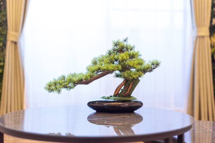 7 min walk sta. 3 min to Shibuya. 7Bed. 3Room gallery image 3