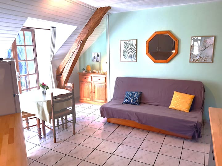 Appt 3 - Cosy, Relax & Pyrénées ! - Luz-Saint-Sauveur