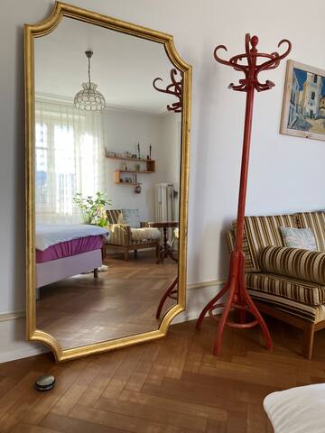 Private room with 1 bedrooms in Basel - sunny privat room